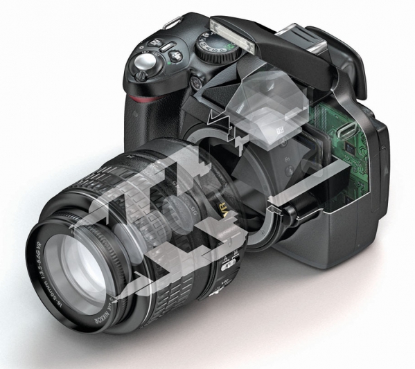 gallery/nikkon-cutaway